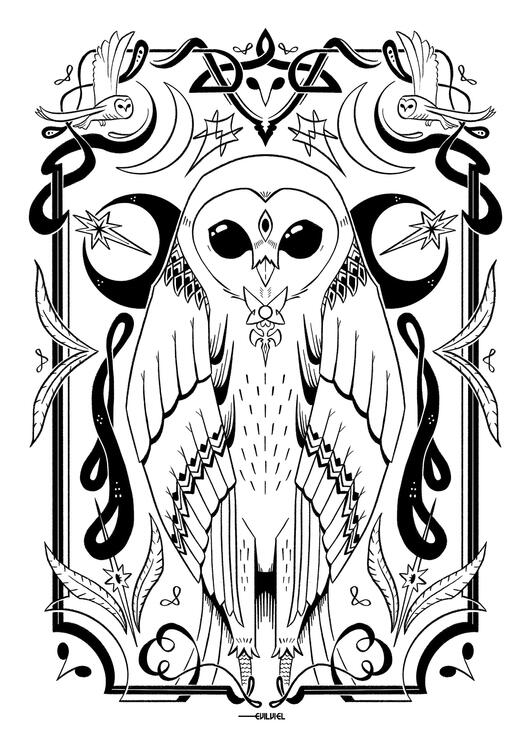 Owl - Line Art